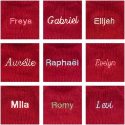 Bashful Tiger with Personalised Red Jumper*Jellycat New